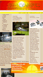 Mobile Screenshot of fogaosolar.net